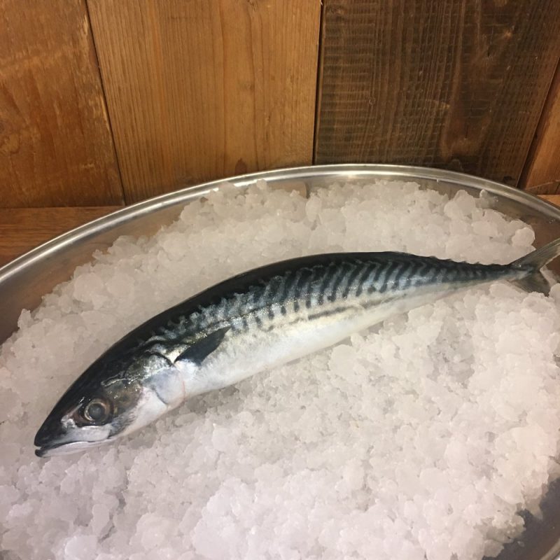 Whole  medium Mackerel